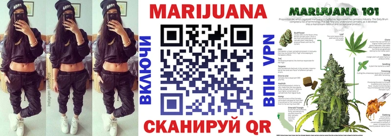 Где купить наркоту Гдов Кокаин  Псилоцибиновые грибы  Гашиш  Меф мяу мяу 