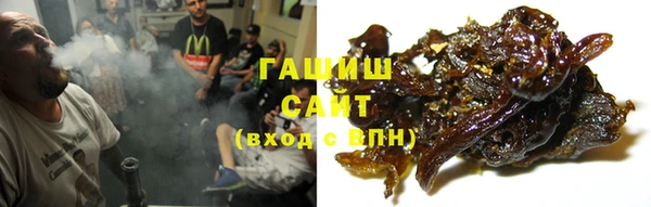 шишки Алексин