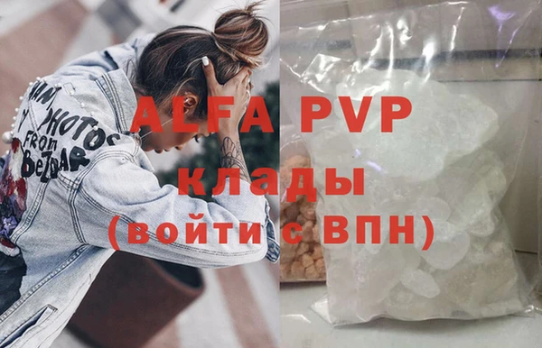 шишки Алексин