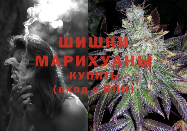 гашик Алзамай