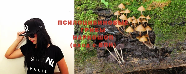 гашик Алзамай