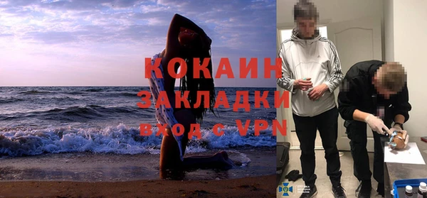 гашик Алзамай
