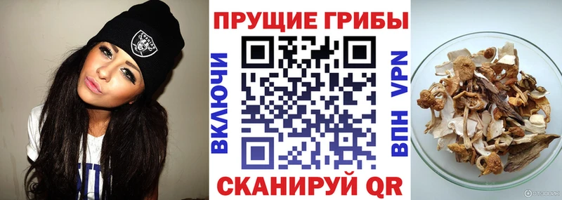 купить наркотики цена Гдов Галлюциногенные грибы мухоморы